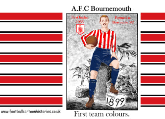 AFC Bournemouth   ceramic mug