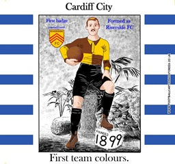 Cardiff City coaster
