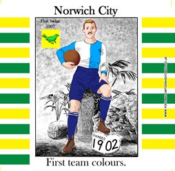 Norwich City coaster