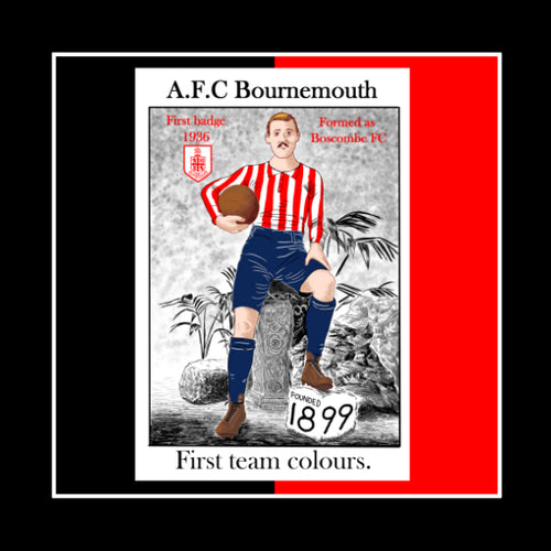 AFC Bournemouth coaster